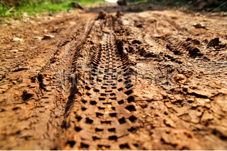 bridleway footpath